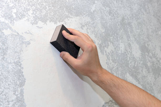 Best Industrial Mold Remediation  in Tye, TX