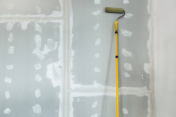  Tye, TX Mold Removal Pros