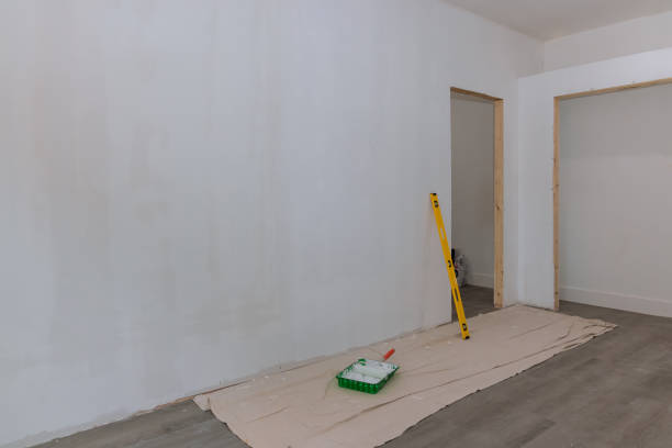 Professional Mold Removal in Tye, TX