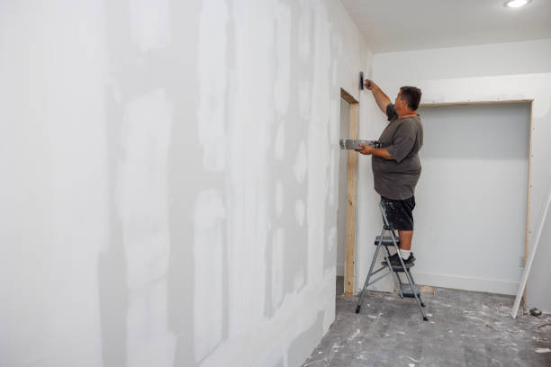 Best Emergency Mold Remediation  in Tye, TX