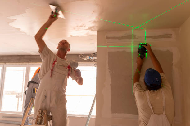 Best Post-Construction Mold Inspection  in Tye, TX