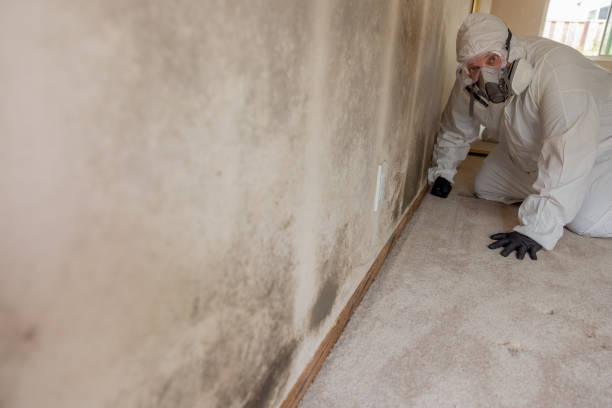 Mold Remediation for Vacation Homes in Tye, TX