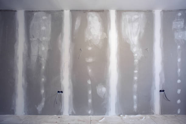 Best Air Quality Testing for Mold Spores  in Tye, TX